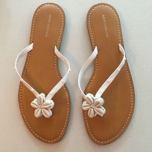 Seashell & Bead Ann Taylor Leather Flip Flop